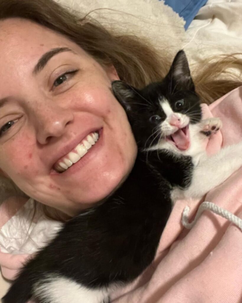 The kitten is lying on a pink pillow