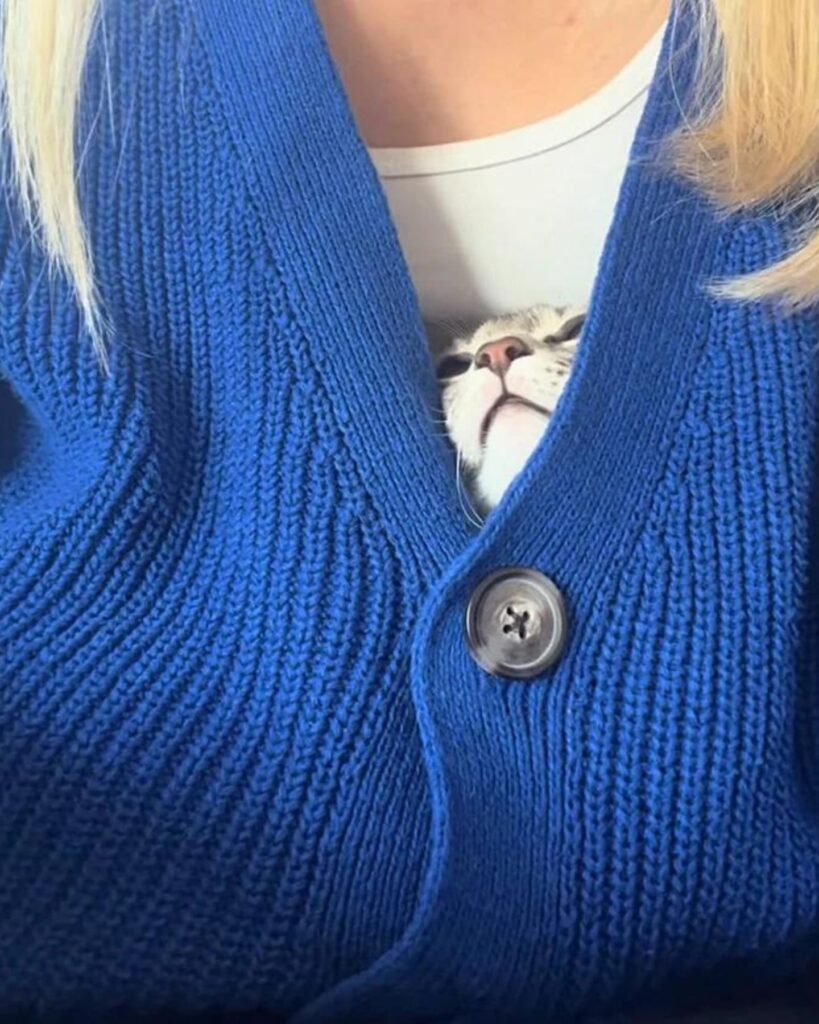 A kitten is peeking out of a woman's sweater