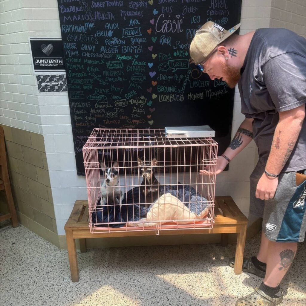 A man approached a cage with two dogs