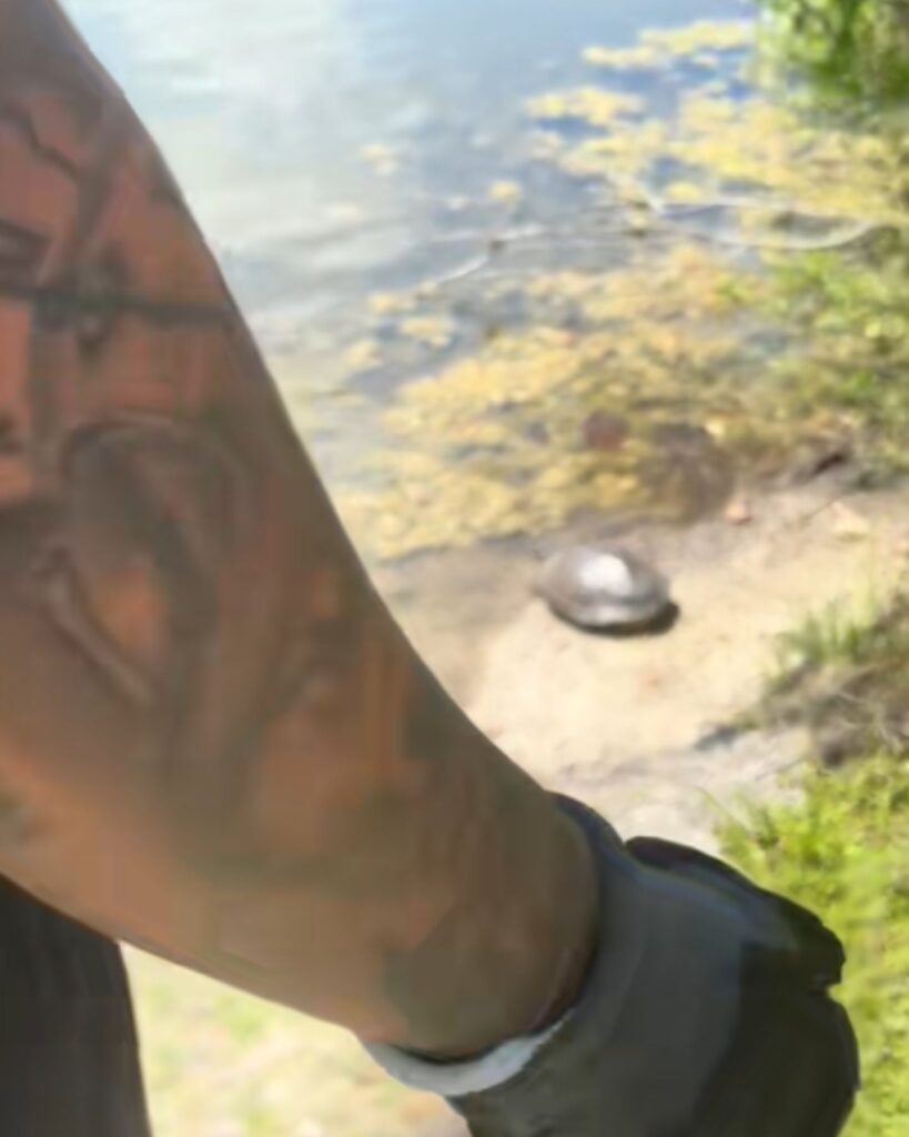 A man approaches a turtle