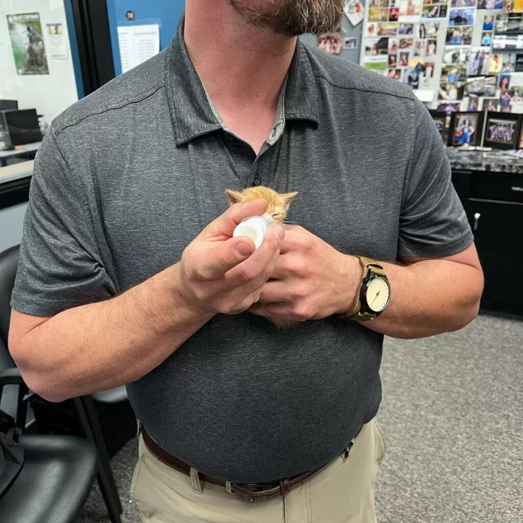 A man is feeding a kitten in his hands