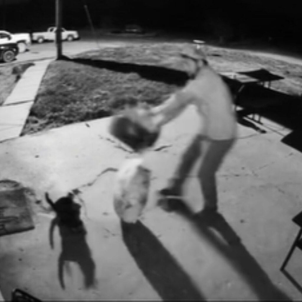 A man is shaking food out of a box for cats.