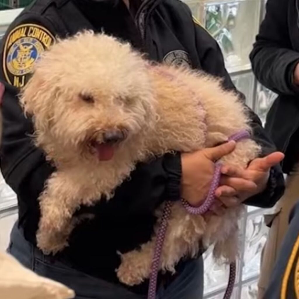A police officer holds a dog in his arms