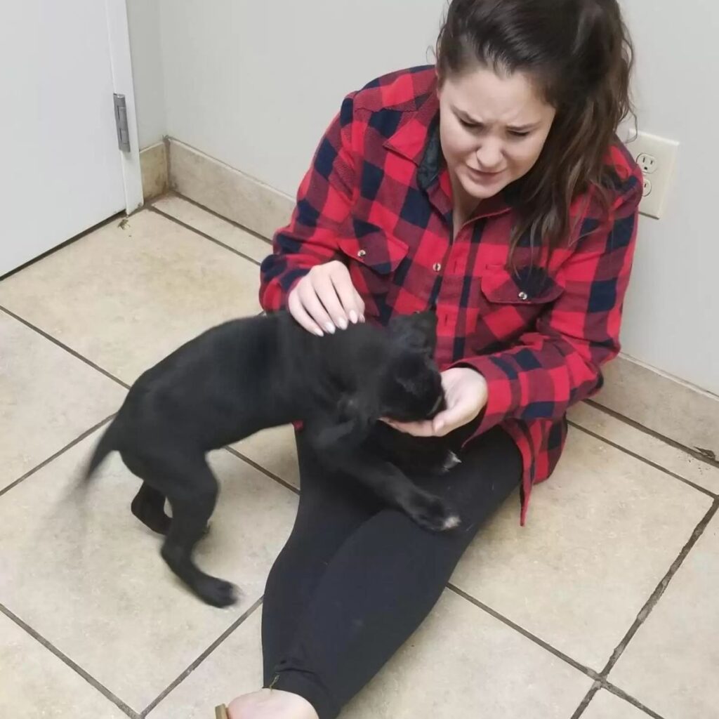 A woman sits on the tiles and pets a dog