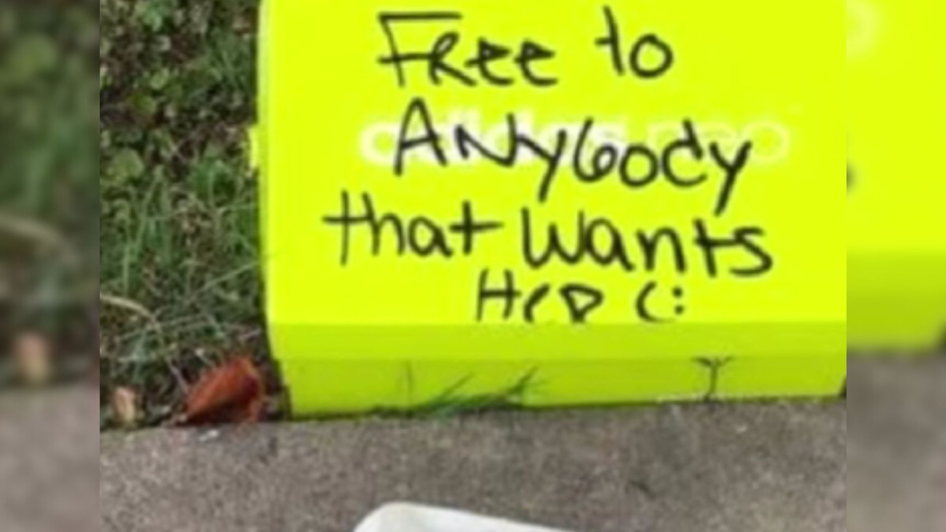 Box Left On Texas Curb Marked “Free To Anybody That Wants Her”
