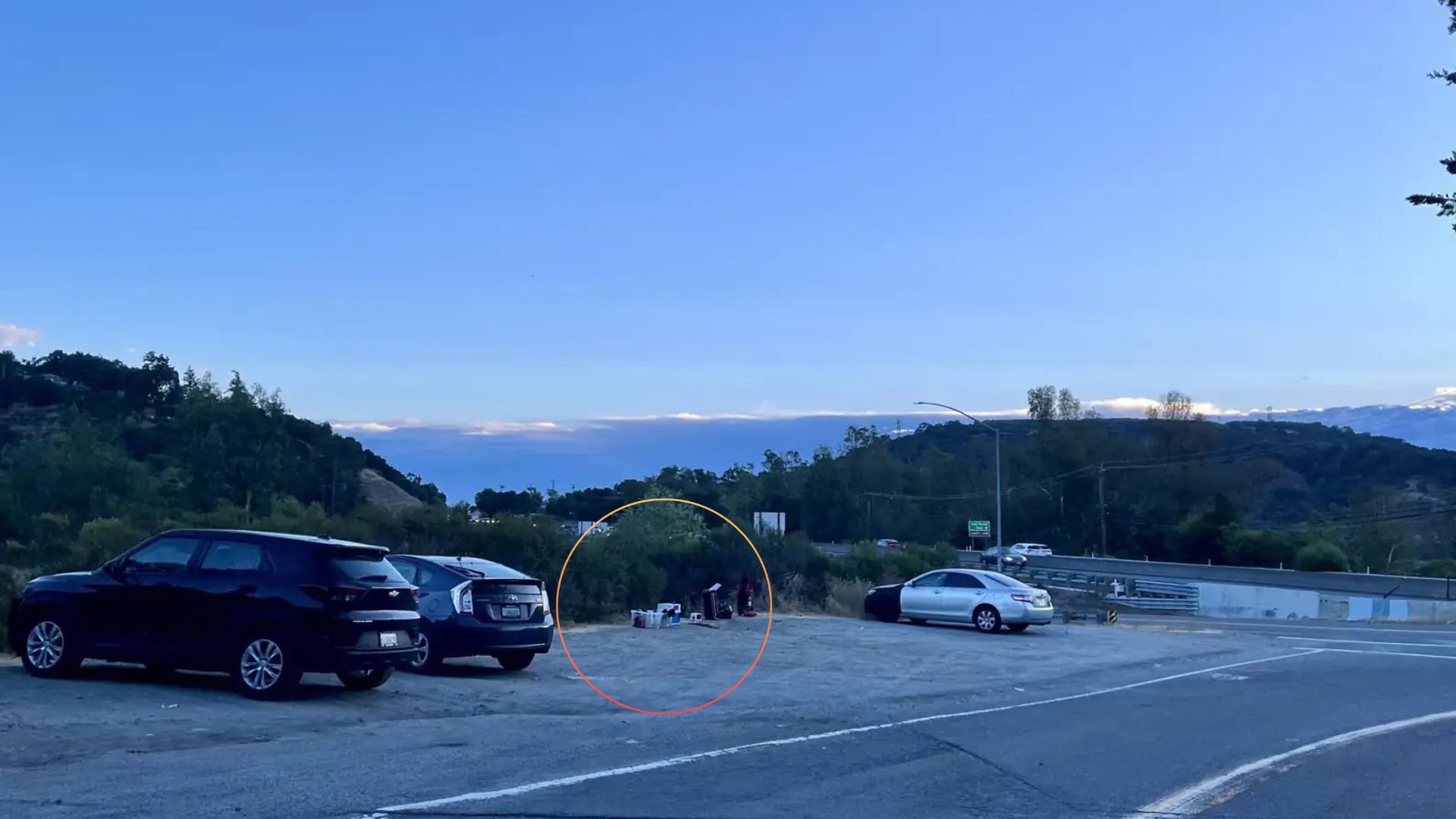 California Couple Finds 5 Fluffy Siblings Dumped In Parking