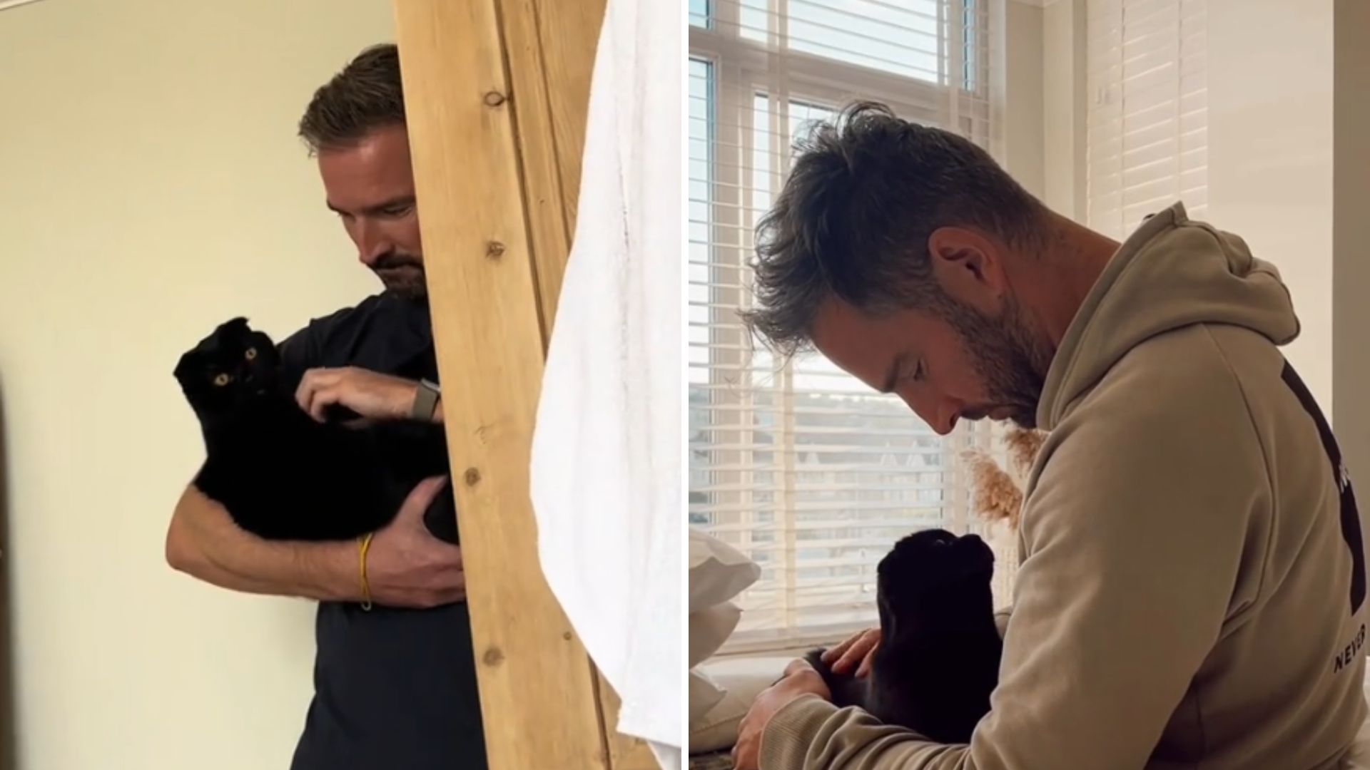 Cat Saved From Abusive Home In Georgia Learns To Trust Again