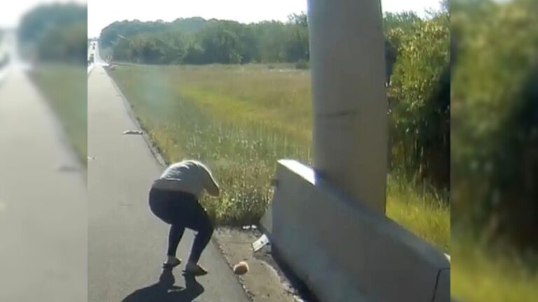 When Two Motionless Shapes Appear By The Highway