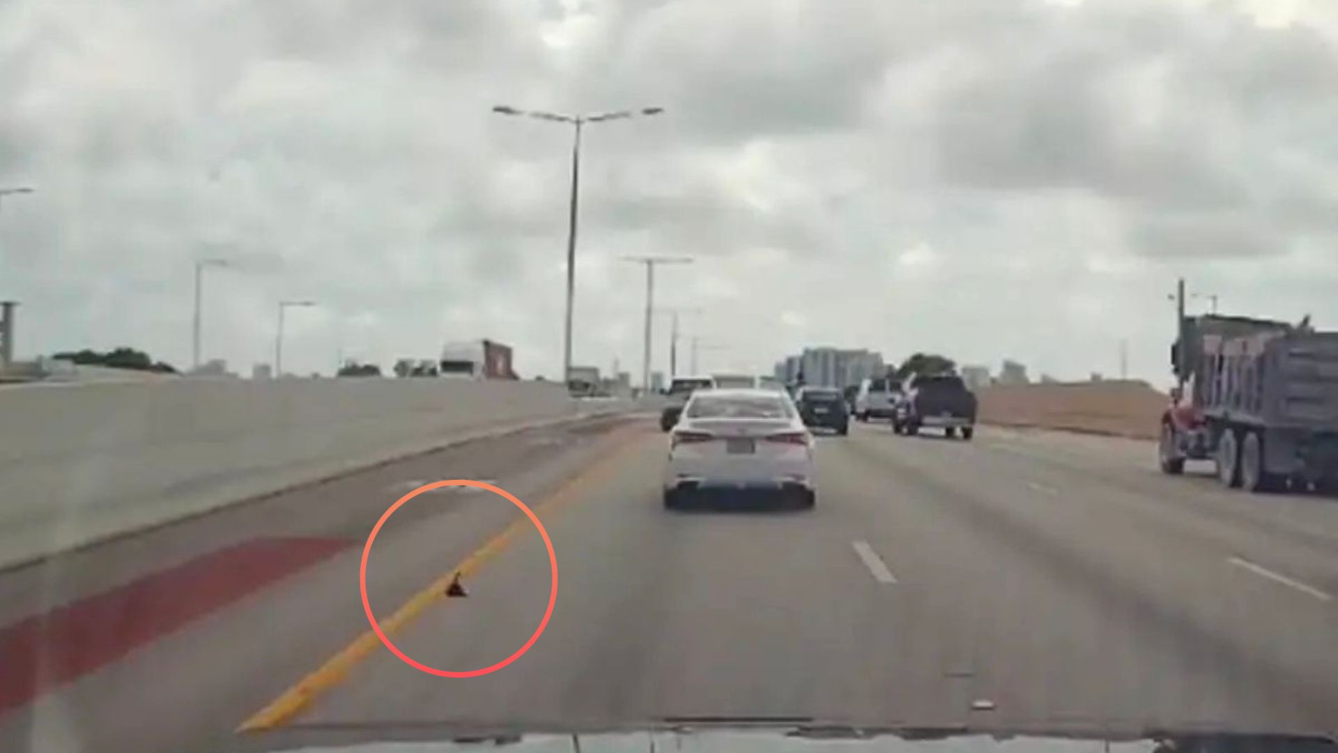 Driver Sees A Dark Speck On Highway In Florida