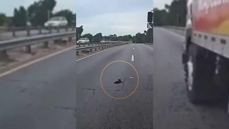 Florida Cop Races Against Time