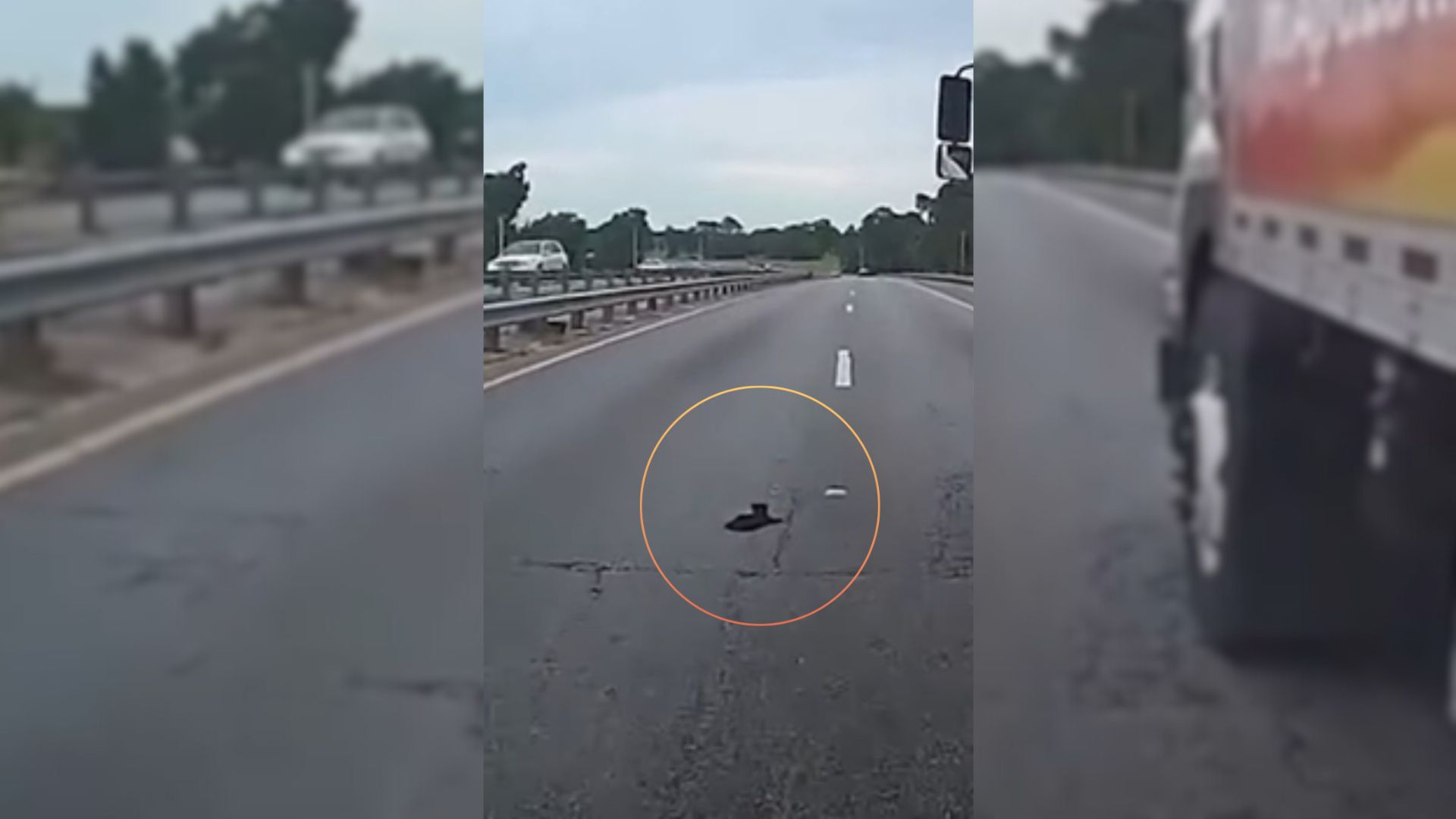 Florida Cop Races Against Time