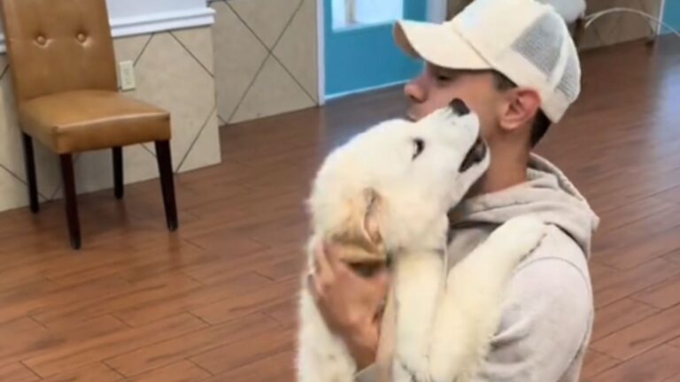 Florida Puppy Spends His First Day In Daycare