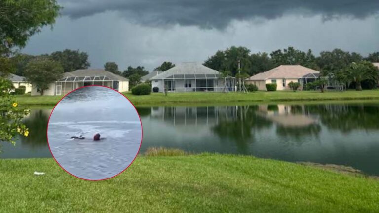 Florida Resident Jumps Into Gator-Filled Lake