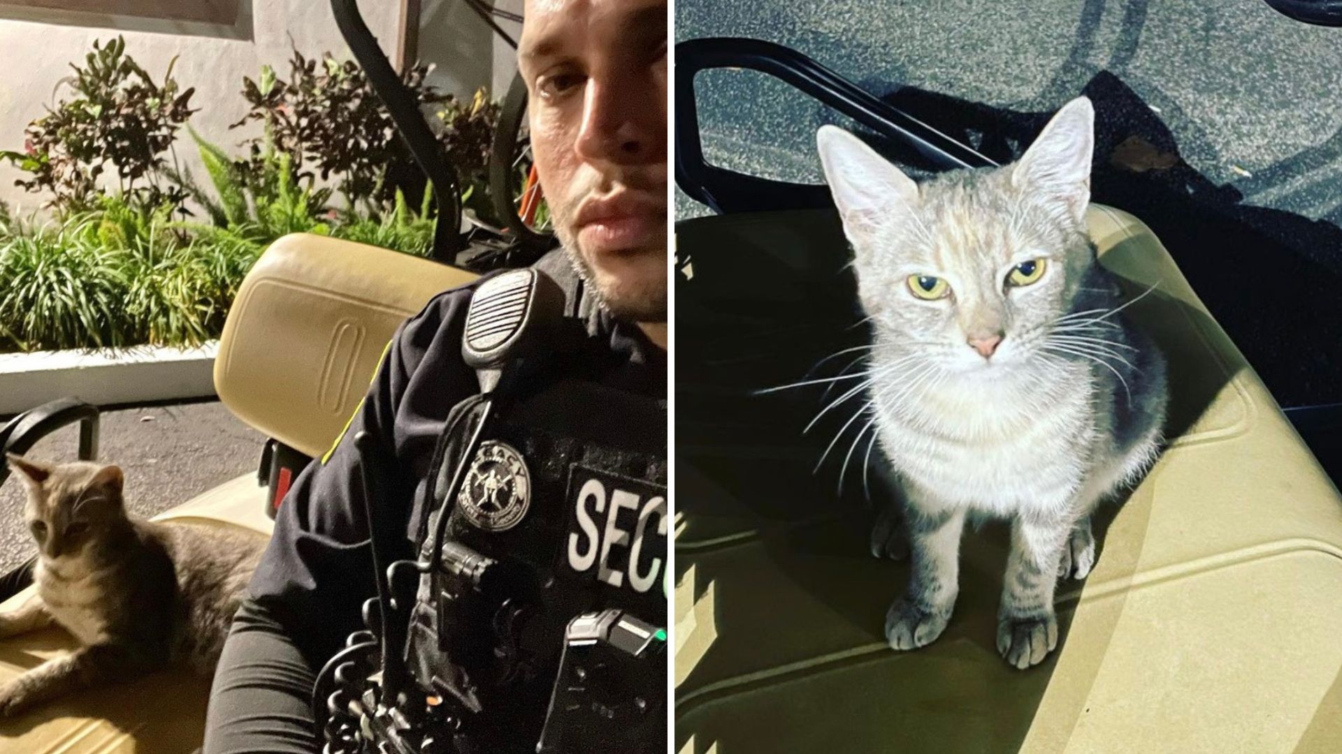 Florida Security Guard Welcomes A Stray Into His Life
