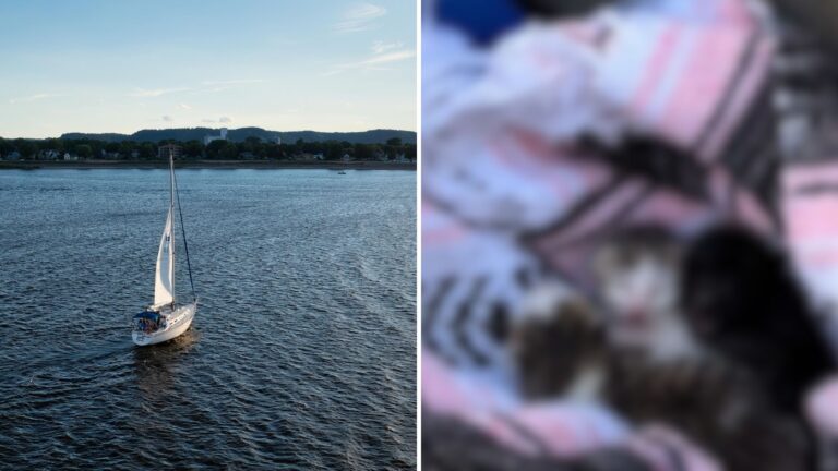 Friends Cruise Off Florida’s Coast