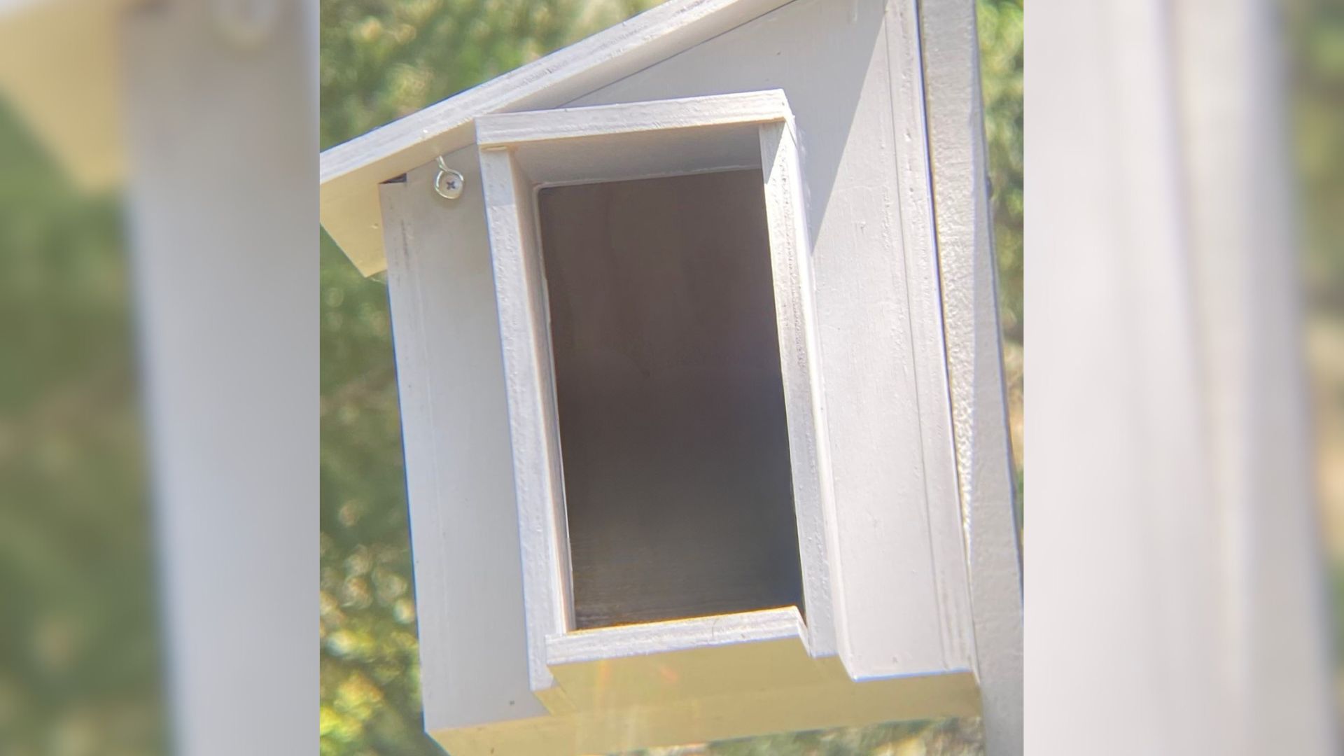 Georgia Man Checks His Owl Nesting Box