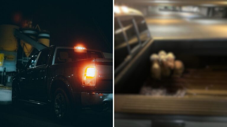 Georgia Man Hears Faint Cries In His Truck Bed