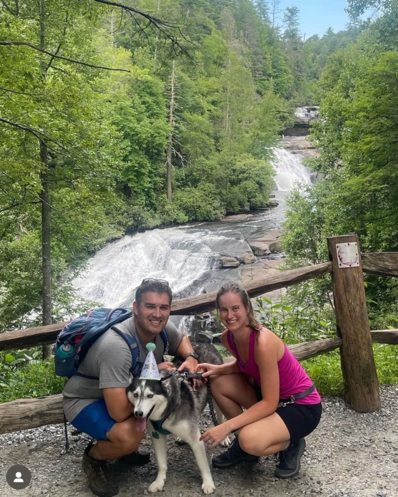 Happy dog ​​walking with a couple