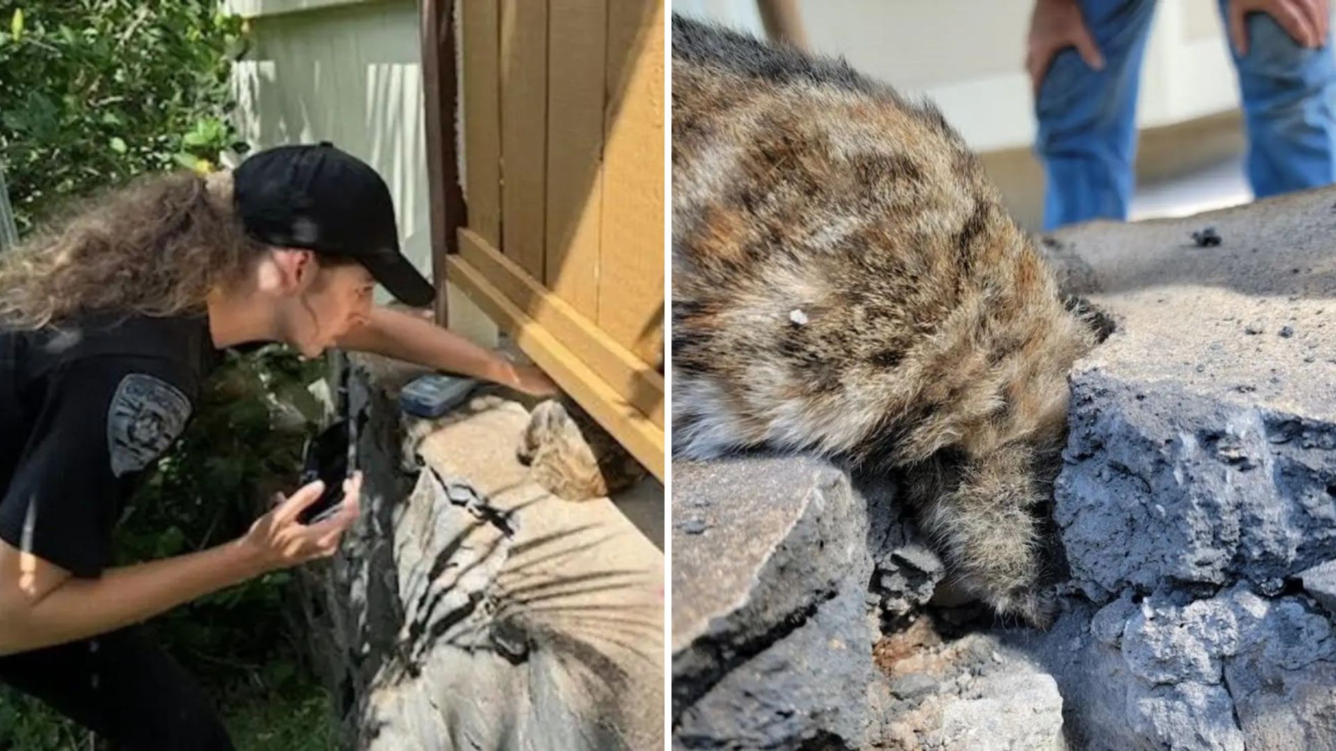 Hawaii Couple Feeding Stray Cats