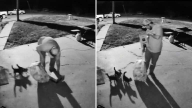 Mysterious Box In His Yard Springs A Surprise