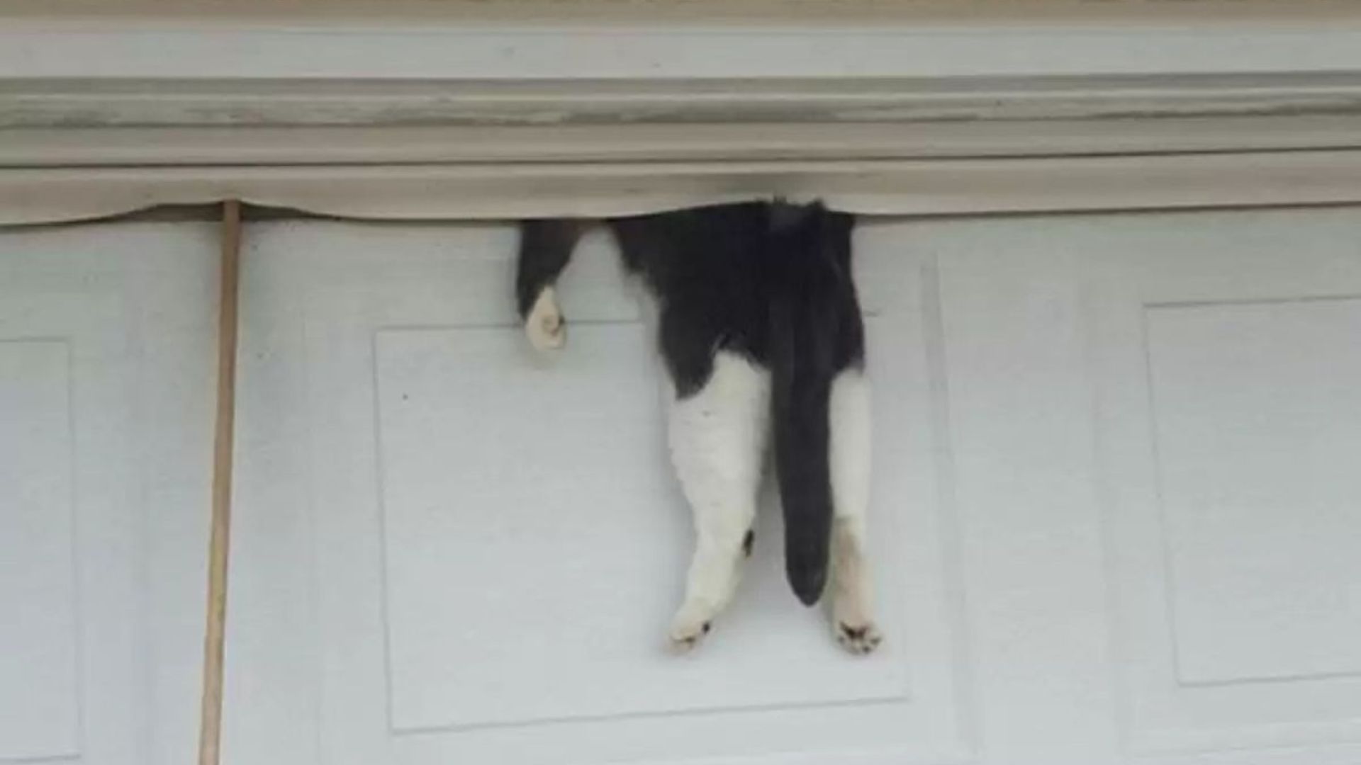 Louisiana Man Shuts His Garage Door