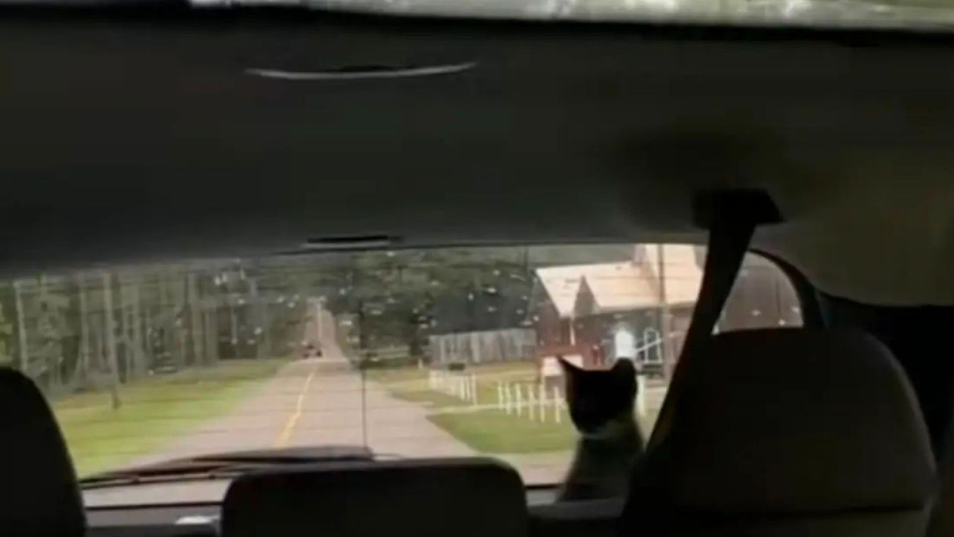 Louisiana Woman Pulls Over In Shock