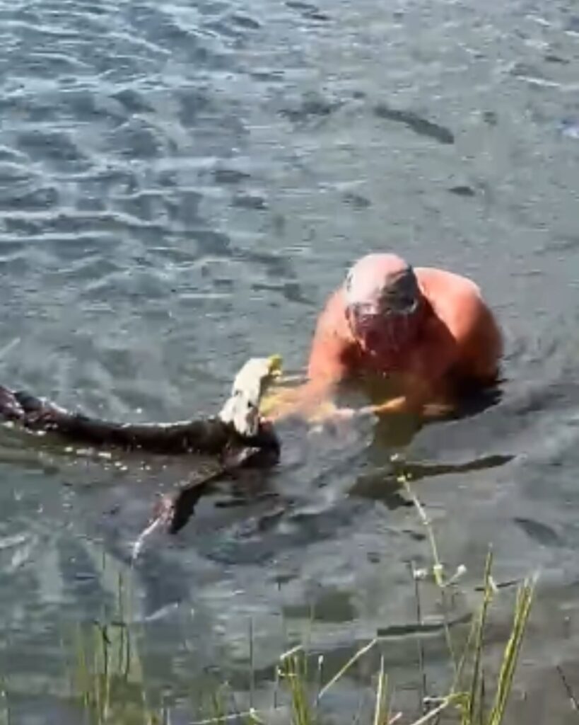 Man saves bird from water