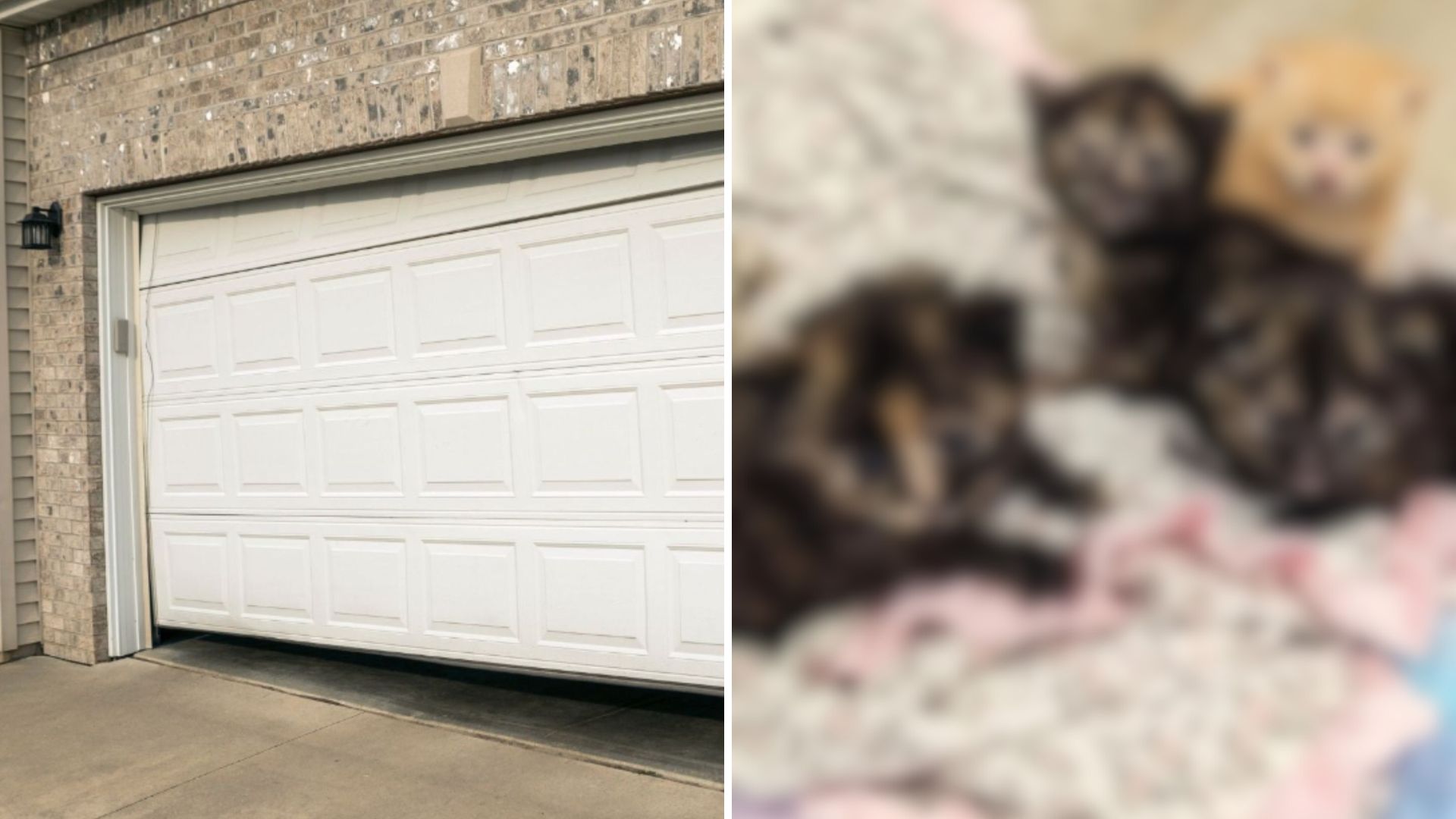 Michigan Homeowner Puzzled