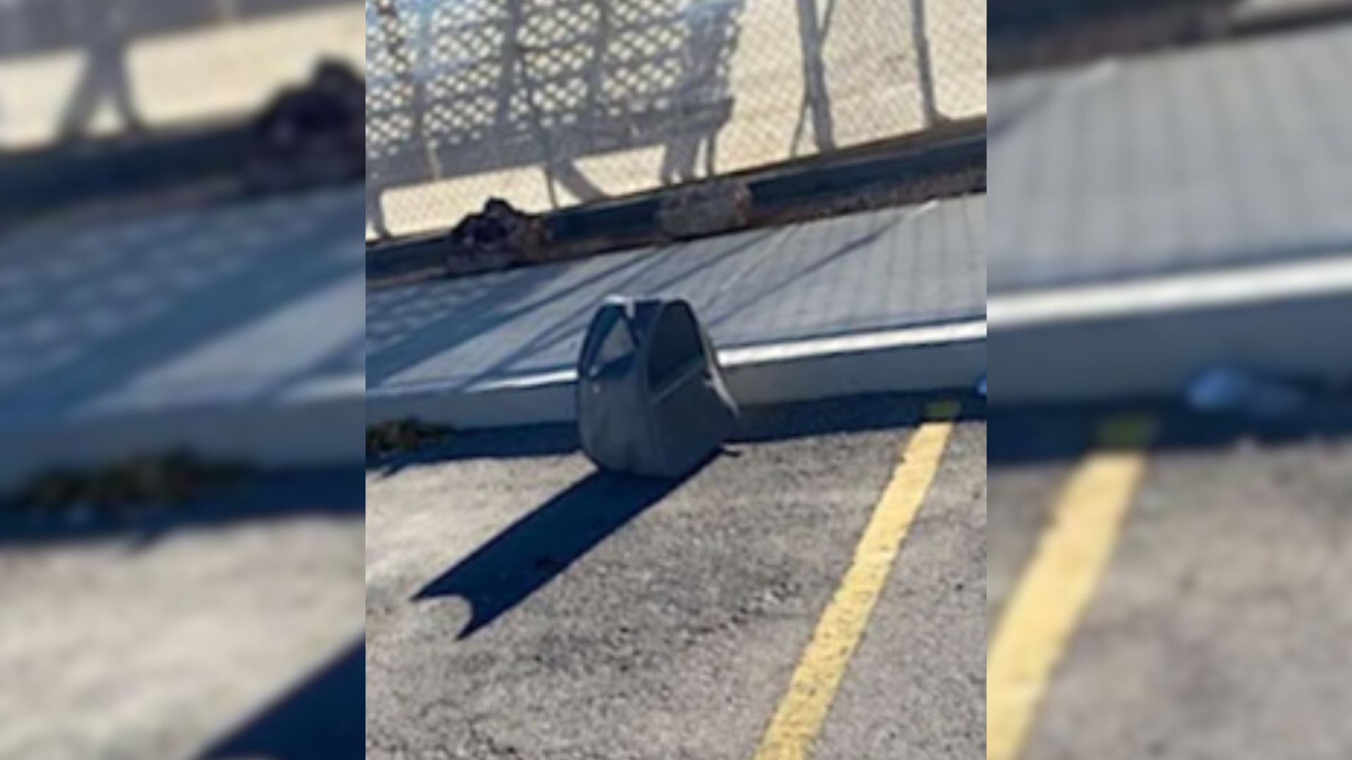 Nevada Man Sees Abandoned Pet Carrier In Parking