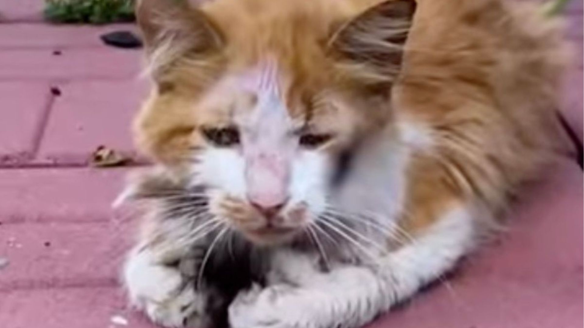 New Jersey Man Comes Home From Work