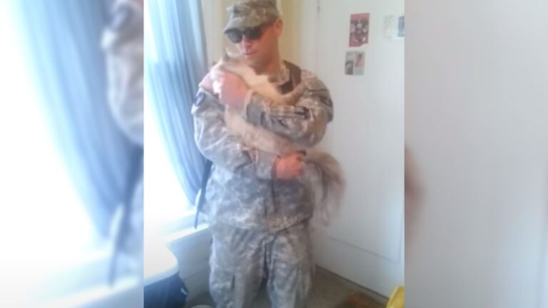 Ohio Cat Eagerly Awaits His Soldier Dad’s