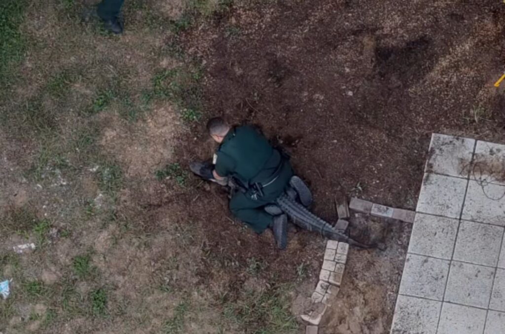 Police officer catches alligator