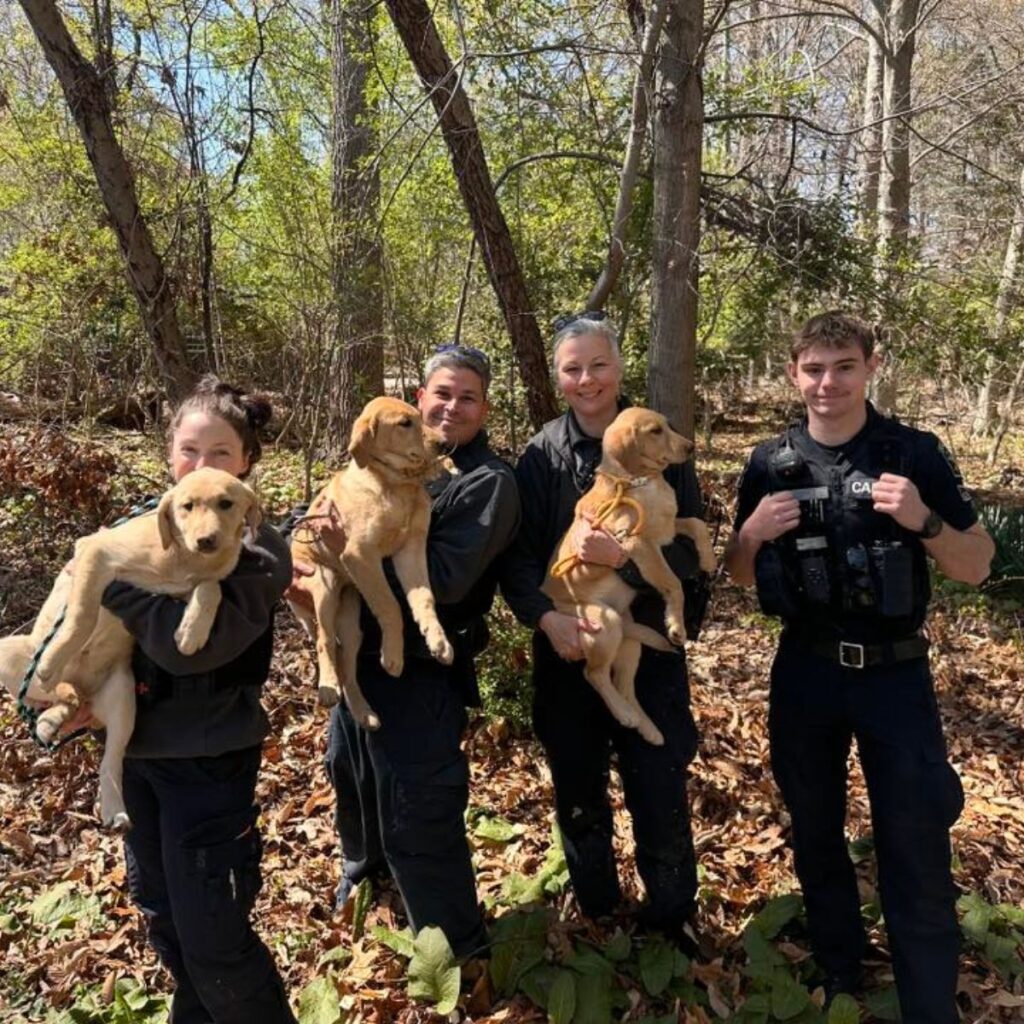 Police officers are holding dogs in their hands