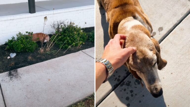 Tennessee Couple Settles Into New Home