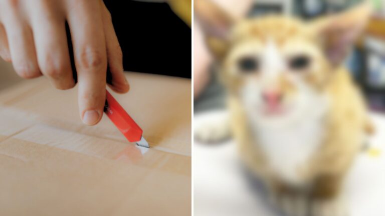 Tennessee Mechanic Opens A Box Left Outside