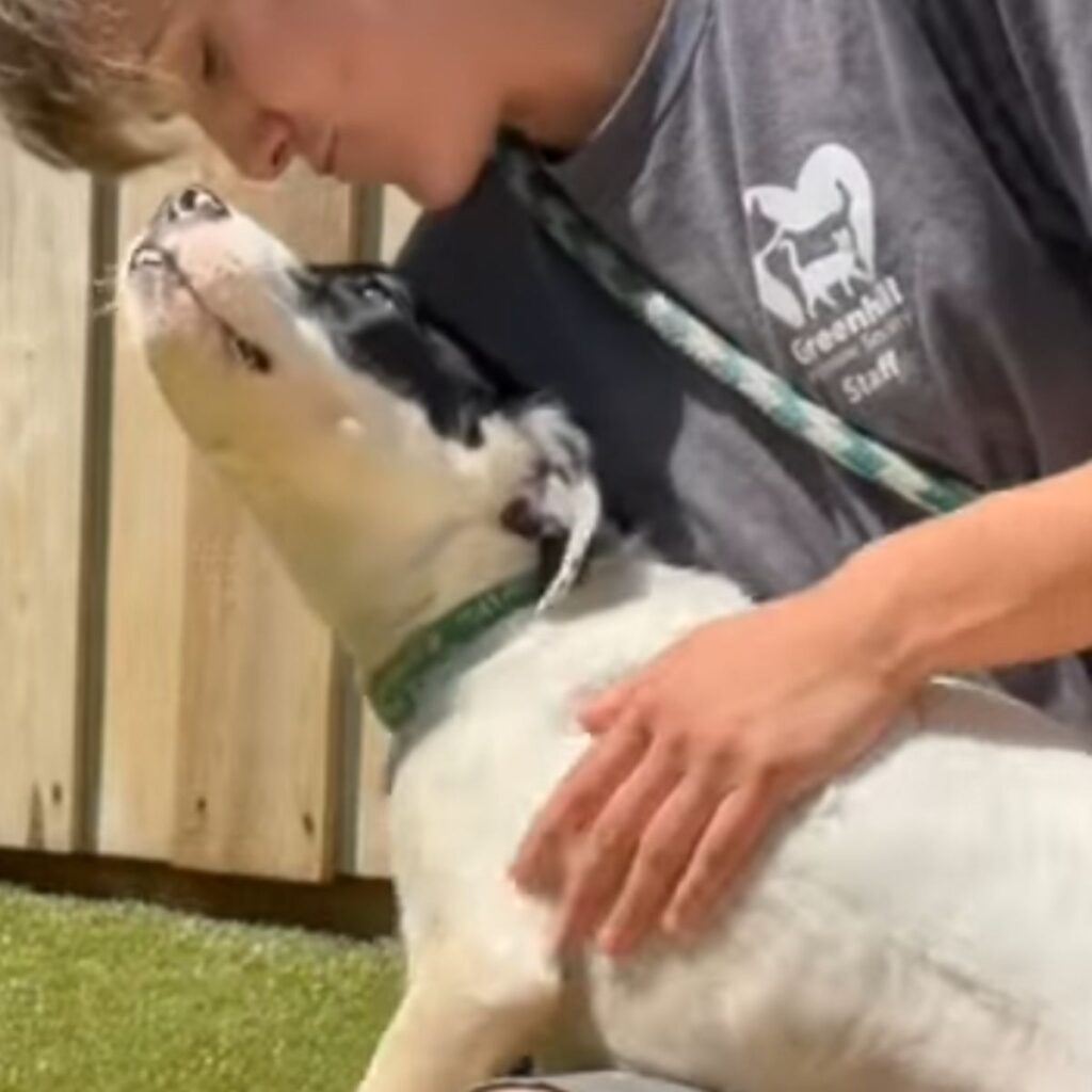The boy kisses the dog