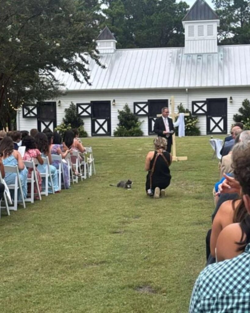 The cat is lying, the woman kneeling next to it