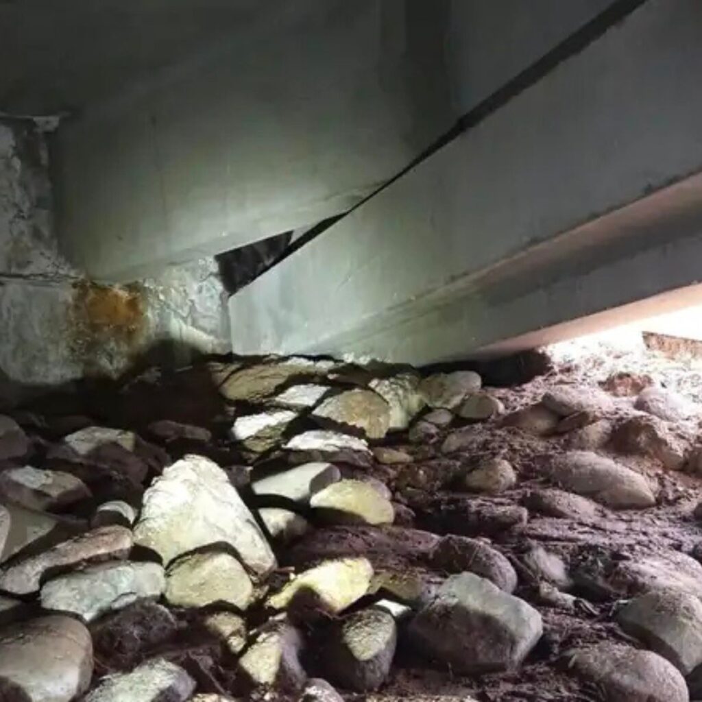 The dog is peeking under the wall