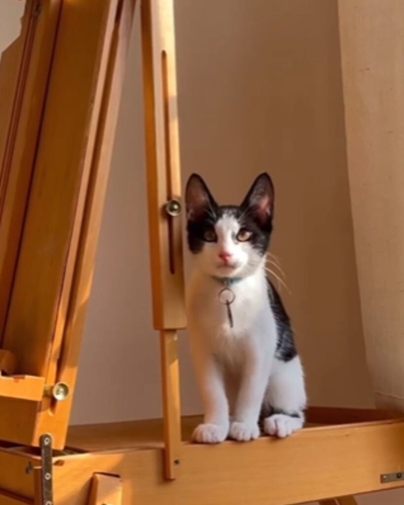 The kitten is sitting on a tree.