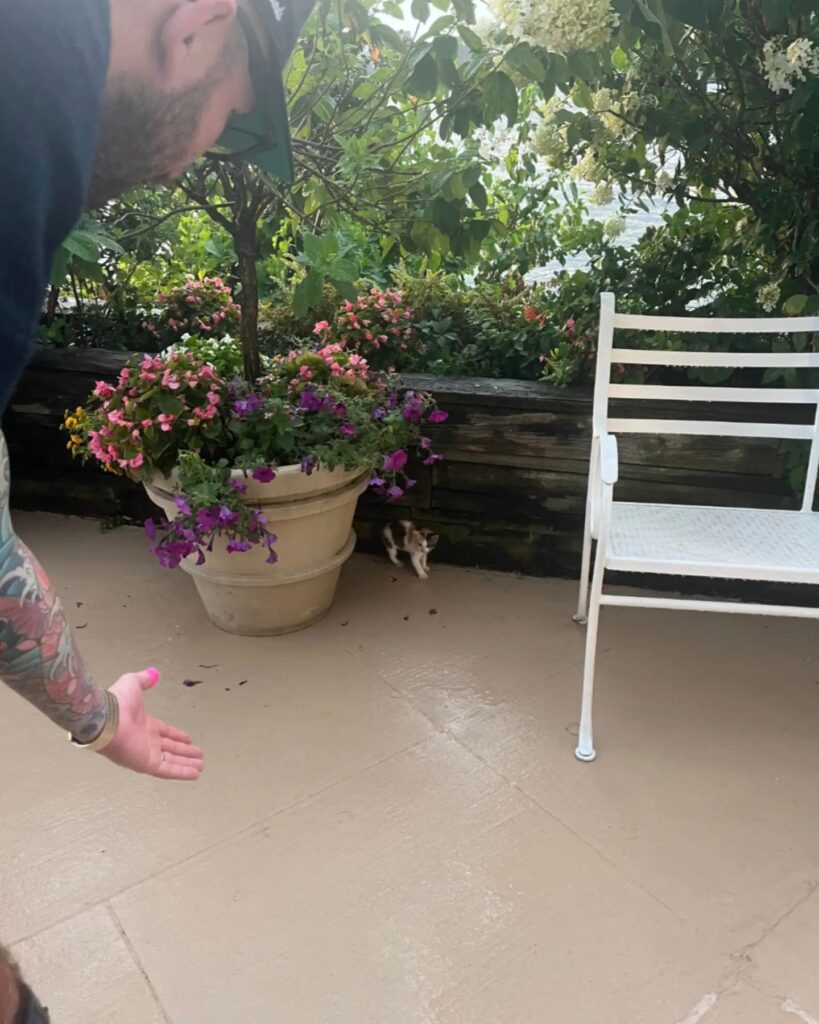 The man is calling the kitten to come to him