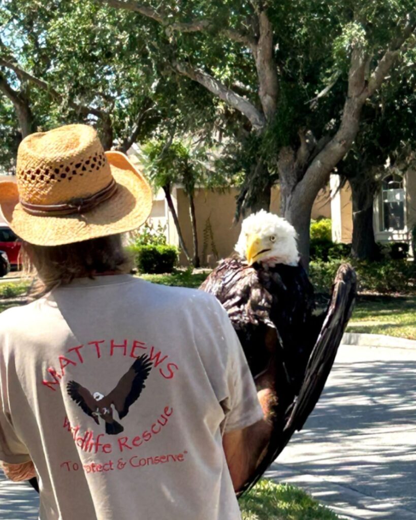The man is carrying an eagle in his hand