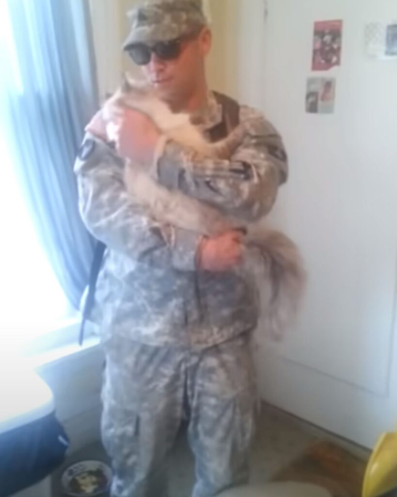 The soldier is holding a cat in his hands