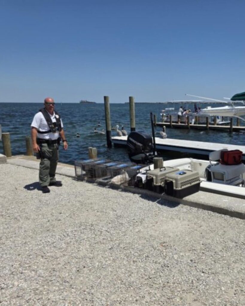 a man stands by the sea