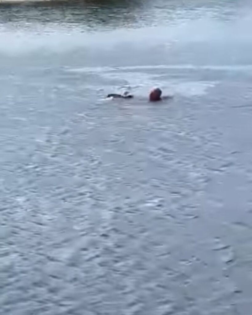 a man swims in the water