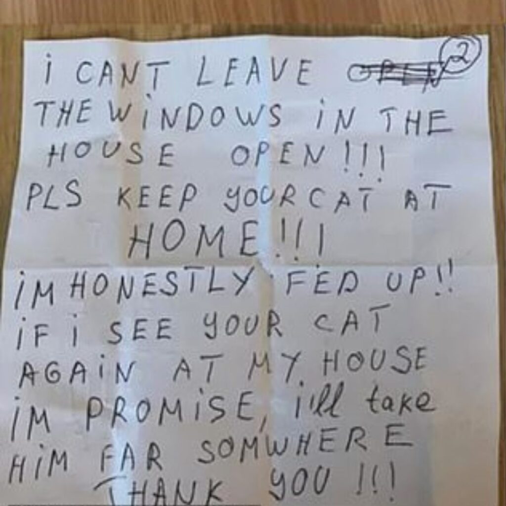 a message about a cat written on paper that was left behind