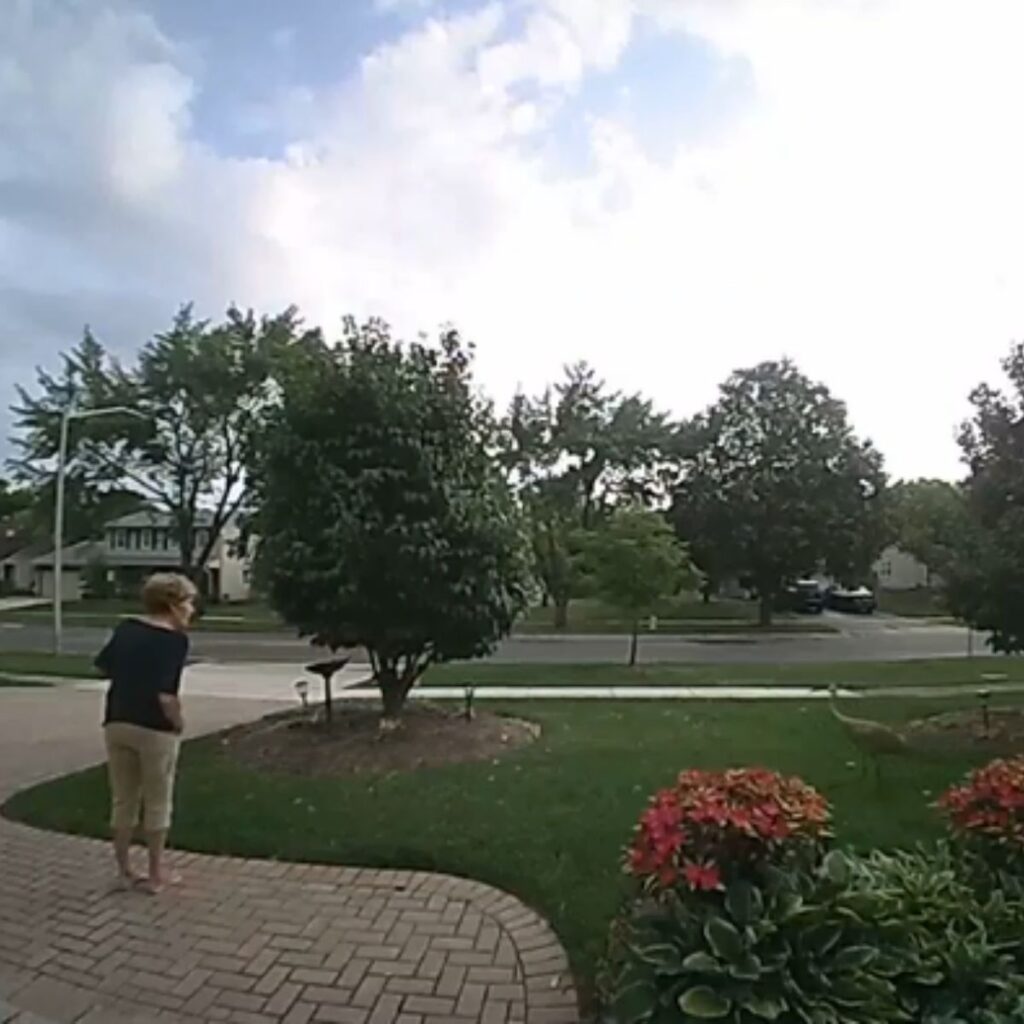 a woman looks at a bird