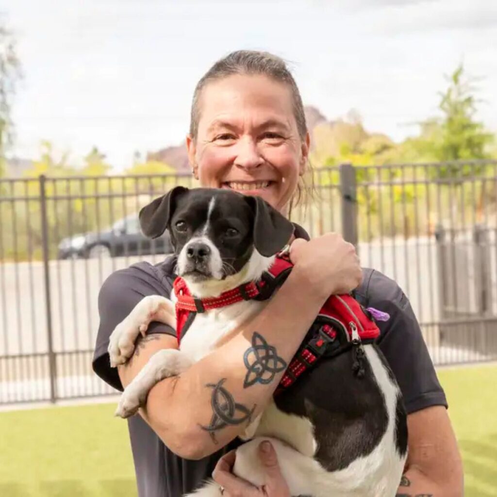 black and white puppy in a woman's hands
