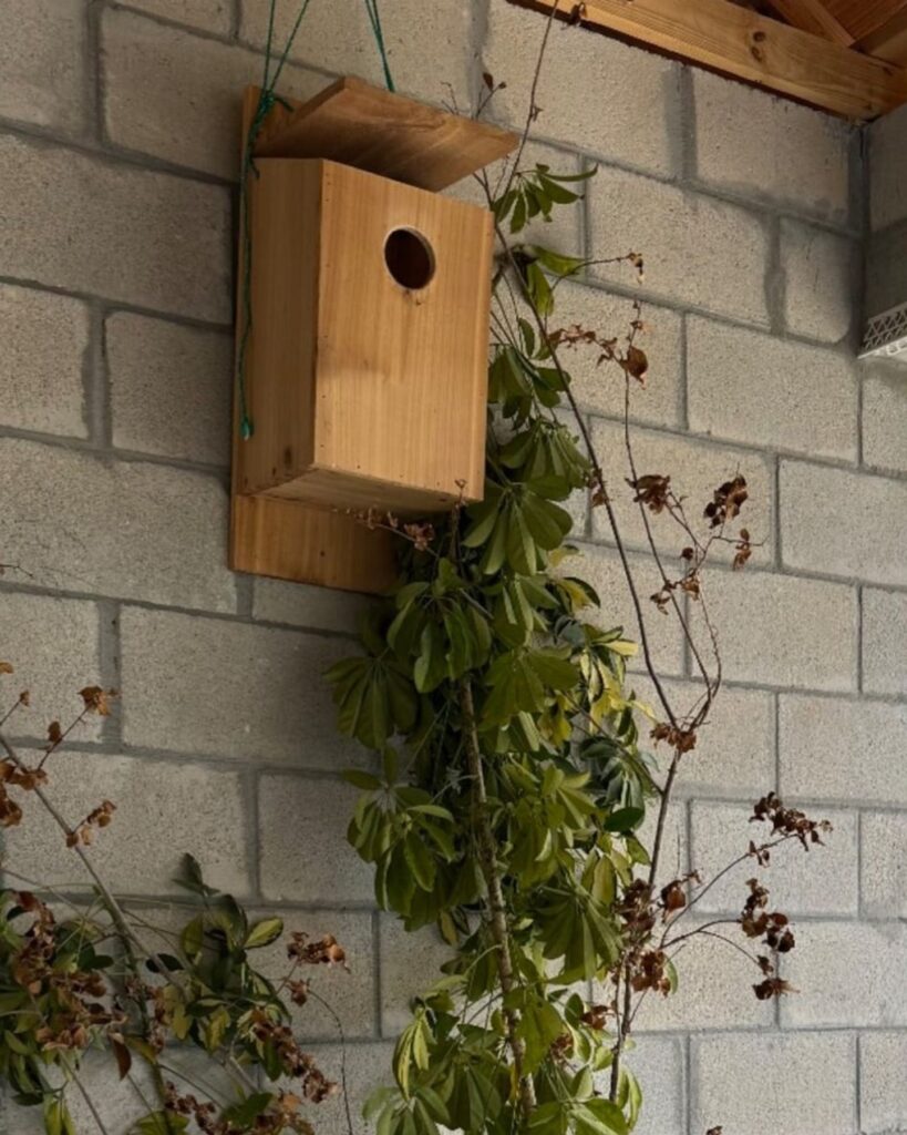 box placed on the wall