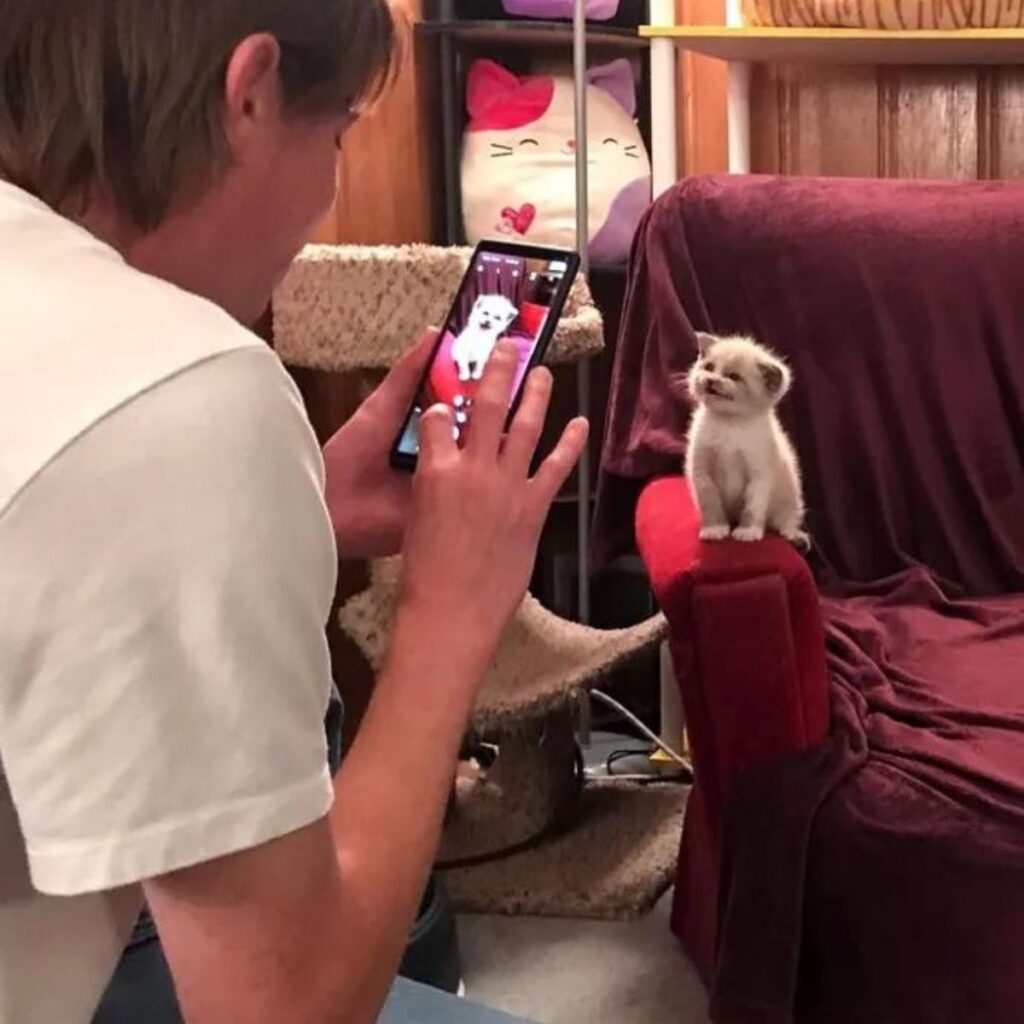 boy painting a kitten on an armchair