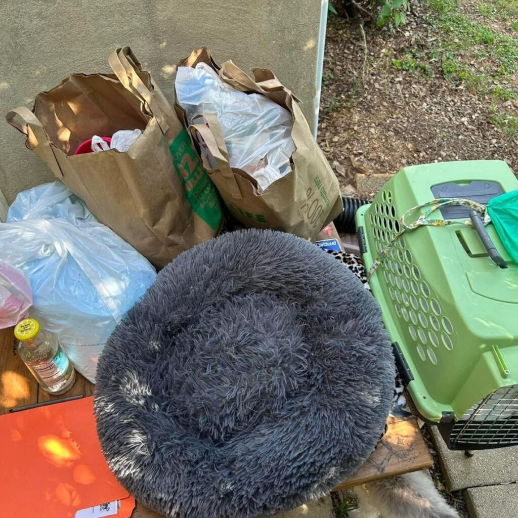 cage bag and cushion on the sidewalk